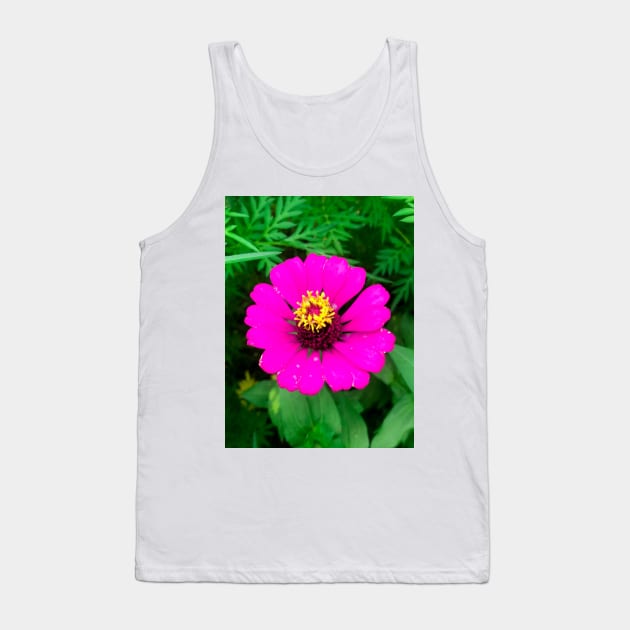 Blooming mature pink zinnia flower Tank Top by FOGSJ